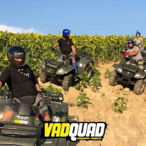quad domony