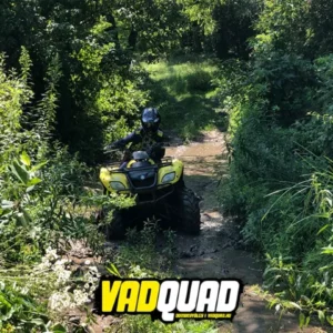 quad